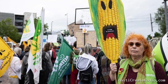 Agriculture : le Parlement européen approuve une nouvelle génération d’OGM