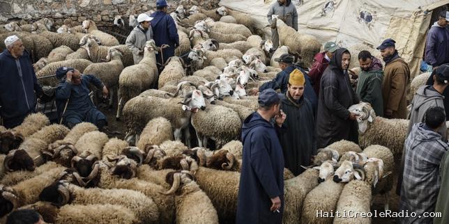 Au Maroc, le prix de la viande de mouton fait scandale à l’approche de l’Aïd