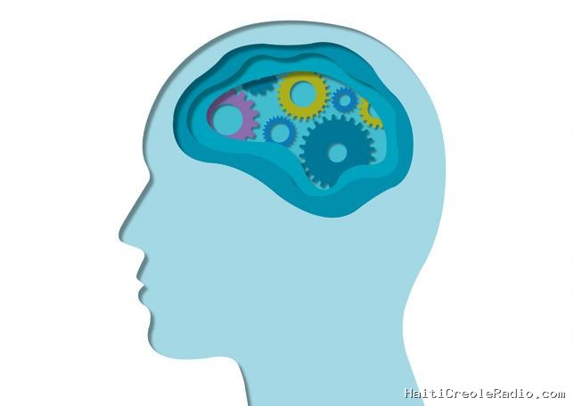 Comment un seul cerveau fait-il pour parler deux langues ?