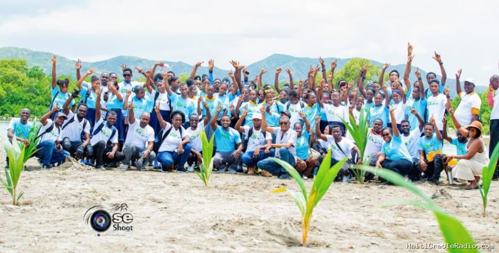 Dans le Nord-Ouest, des dizaines de cocotiers plantés par des élèves et étudiants pour protéger le littoral de Port-de-Paix