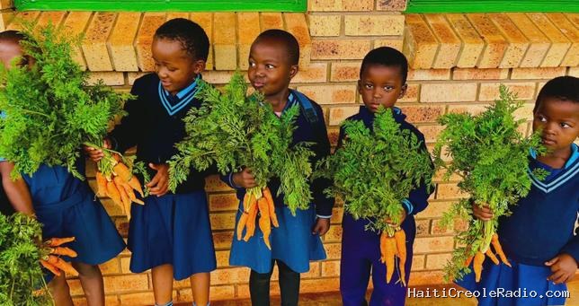 Dans une école isolée d’Afrique du Sud, la permaculture sème des graines d’espoir