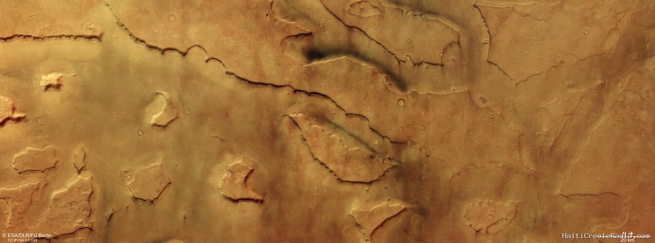 Dozens of dust devils hidden in plain sight