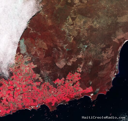 Earth from Space: Agricultural patchwork