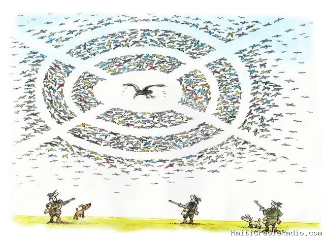 En Belgique, un village envahi par 48 000 faisans et canards lâchés pour la chasse