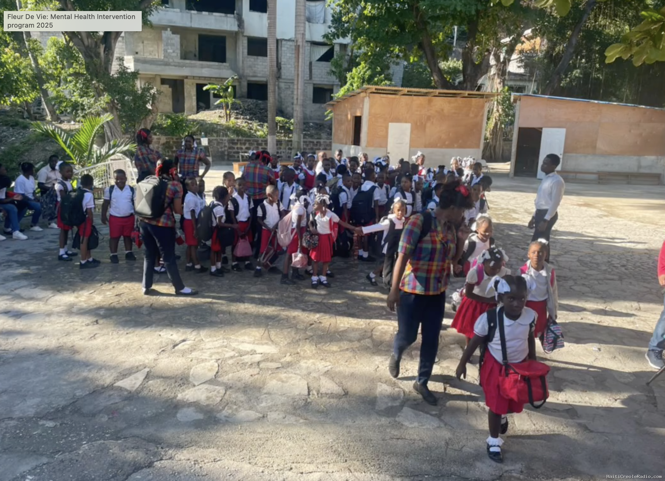 Fleur De Vie launches mental health intervention for Port-au-Prince school communities