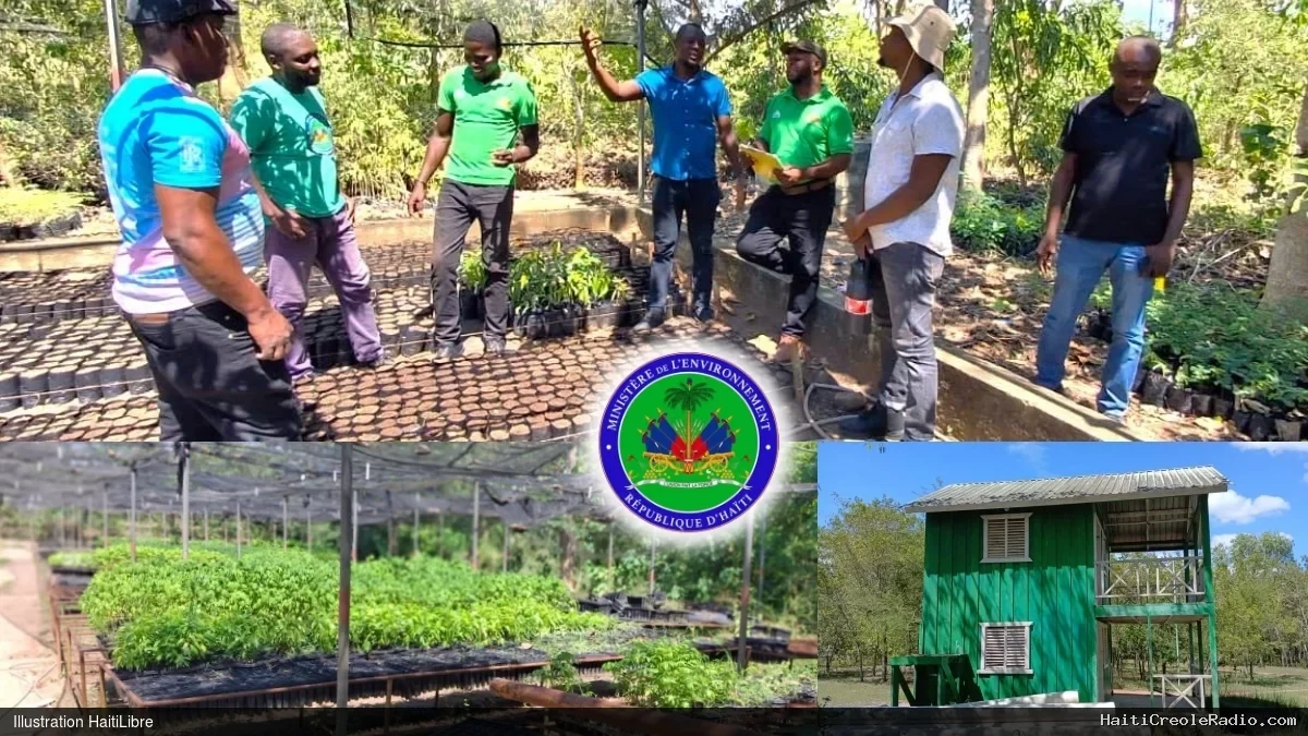 Haïti - Environnement : Renforcer la résilience climatique et restaurer les écosystèmes dégradés