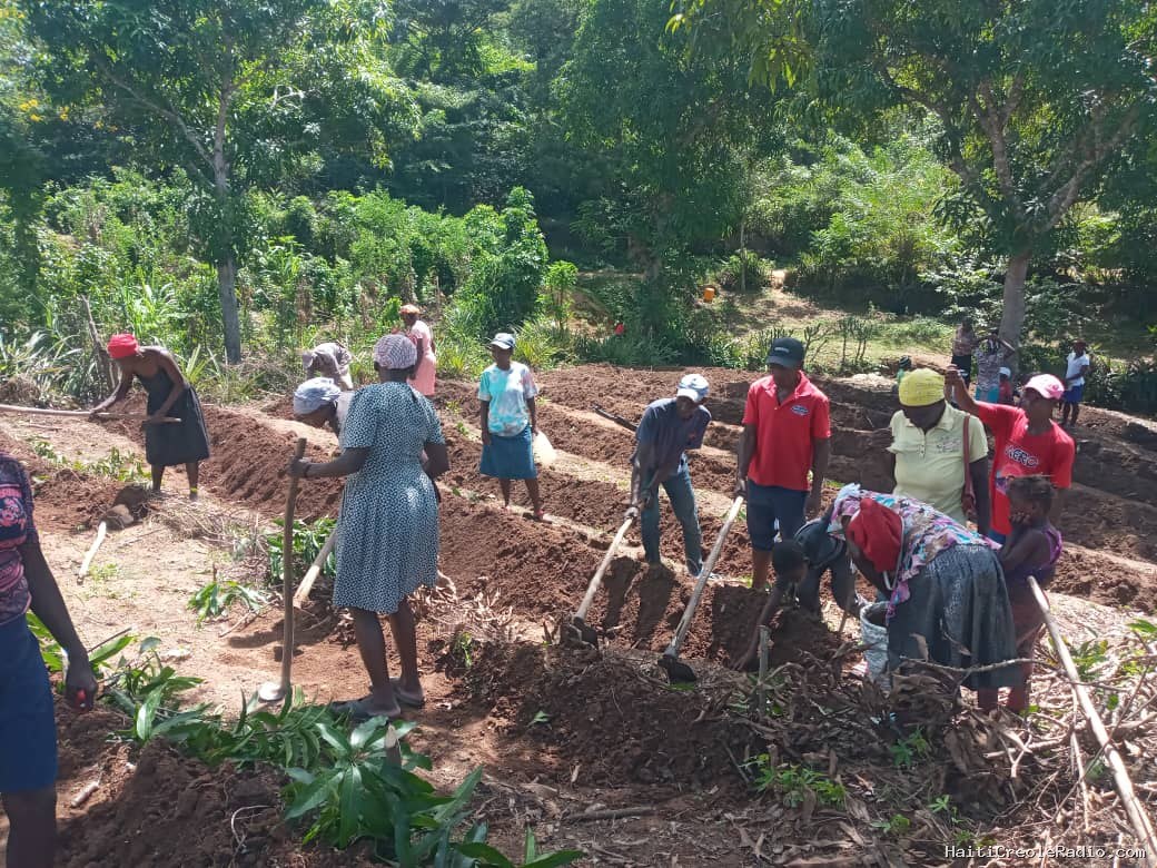 Haiti farmers demand a say in $47.9M agriculture project