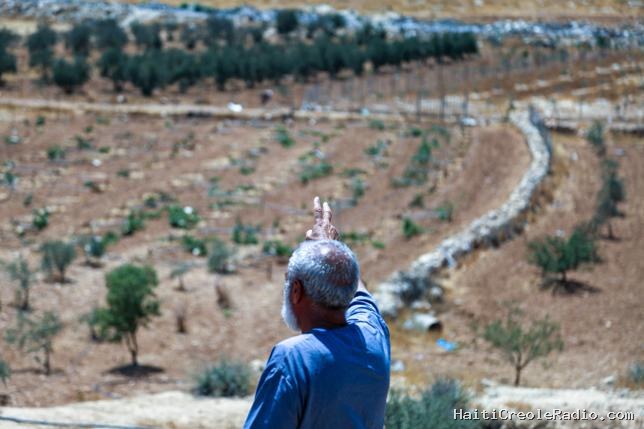“Je suis agriculteur, pas terroriste” : en Cisjordanie, des Palestiniens privés de leurs vignes