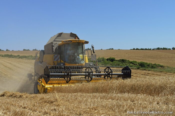 La France moissonne, entre canicule et coup de froid