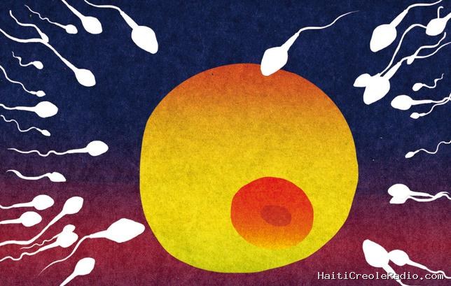 La fréquentation des saunas est-elle dangereuse pour les spermatozoïdes ?