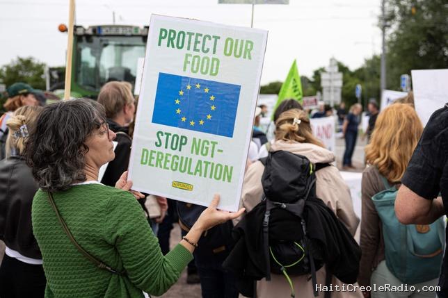 NGT : que va changer la loi sur les “nouveaux OGM” en Europe ?