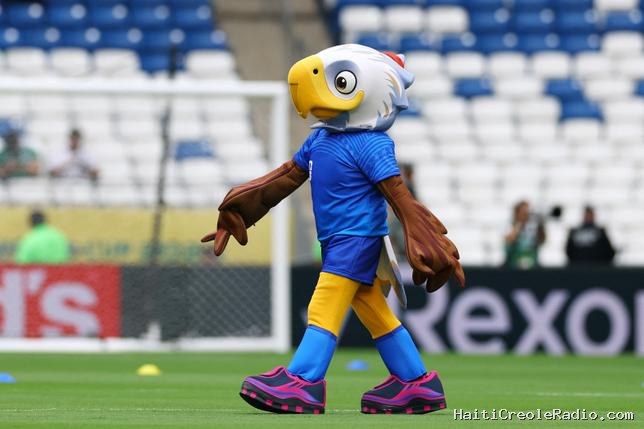 Pour prédire les résultats des matchs de la Coupe du monde, comptez les oiseaux !