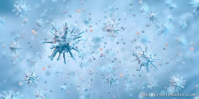 Près de 11 700 nouveaux virus découverts dans les grands fonds marins du Pacifique