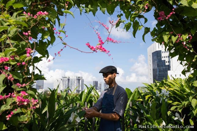 Singapour, où les arbres enlacent les immeubles