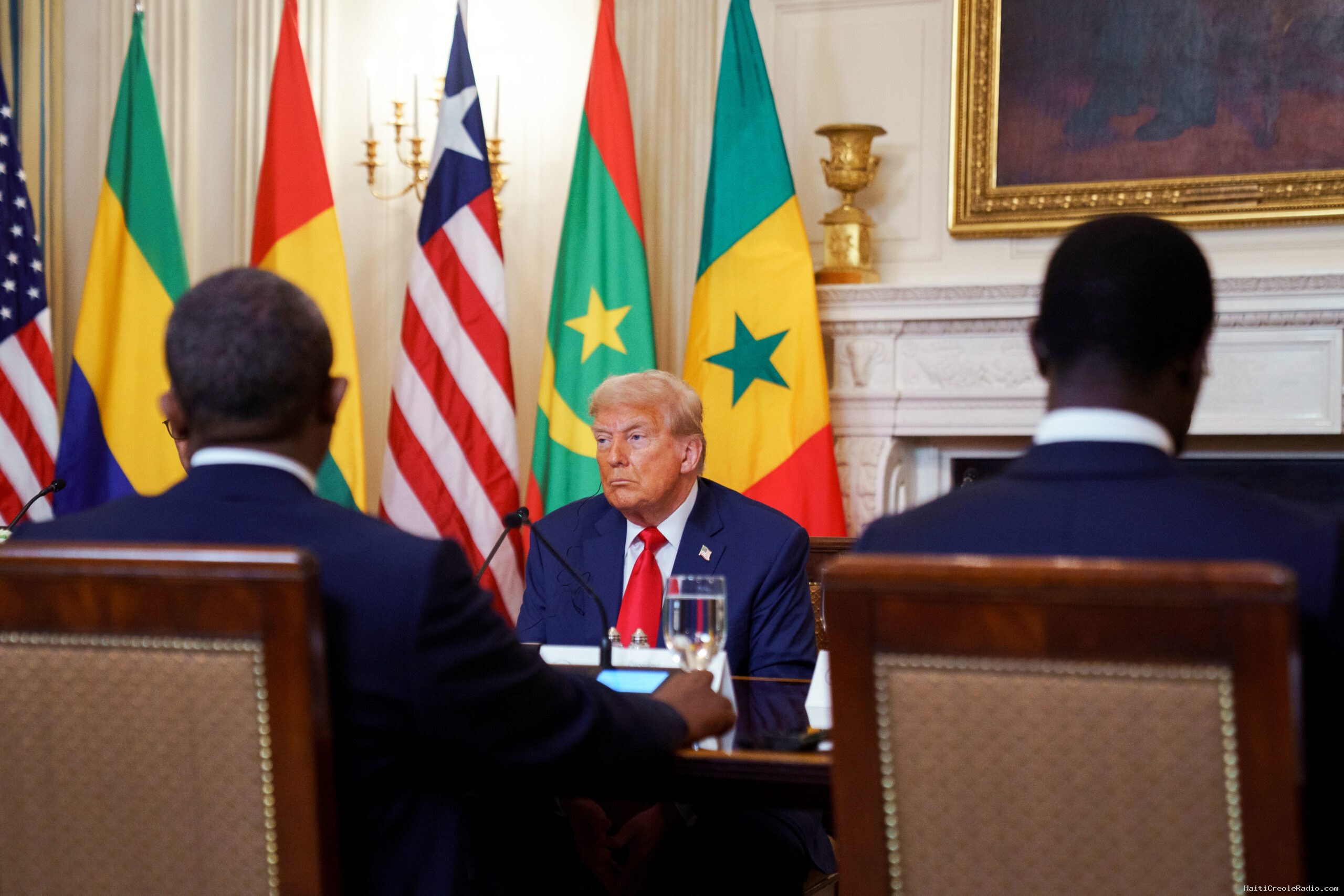 Trump et l’Afrique : du commerce aux expulsions