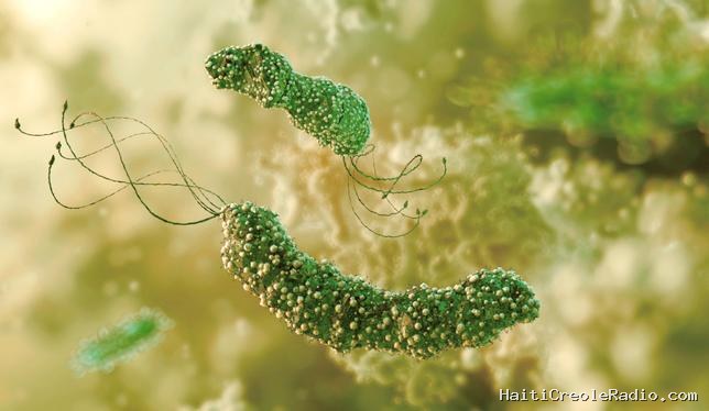 Un cancer sur huit est dû à une infection