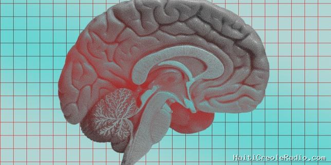 Un composant optique parvient à entraîner efficacement un réseau de neurones
