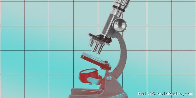 Une mutation génétique rare réduit de 60 % le risque de maladies cardio-vasculaires